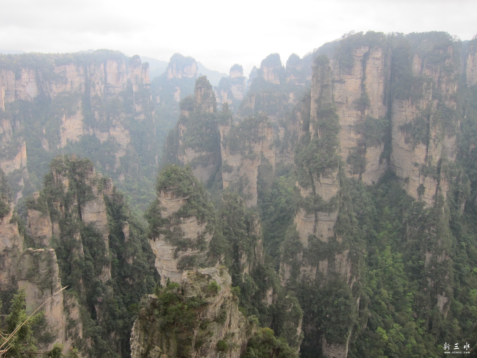 �ڶ�������---��԰ (37).JPG