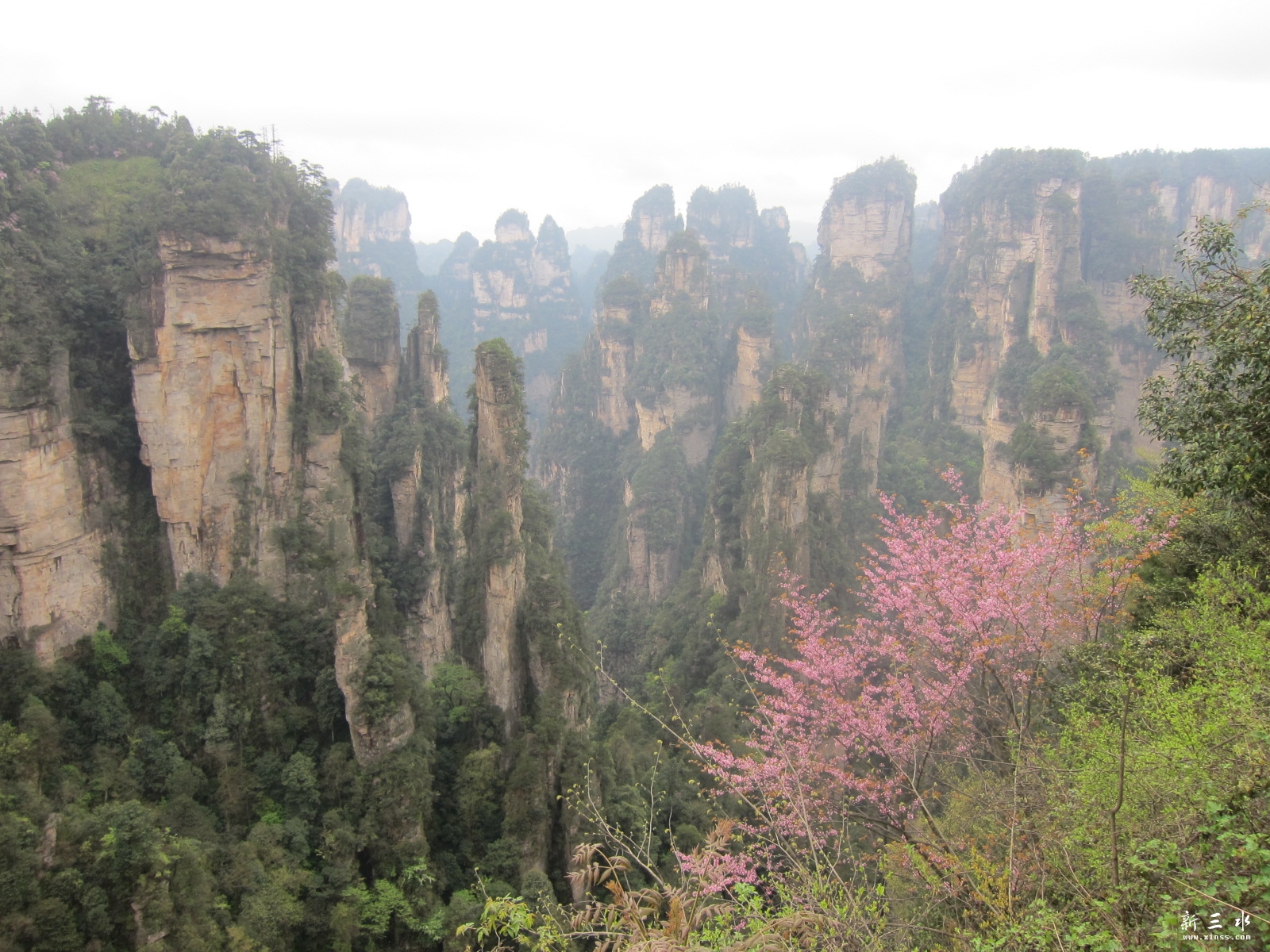 �ڶ�������---��԰ (23).JPG