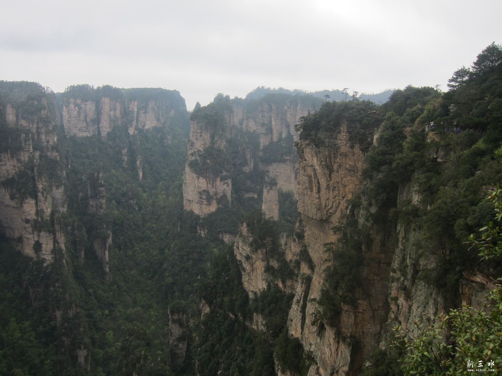 �ڶ�������---��԰ (38).JPG