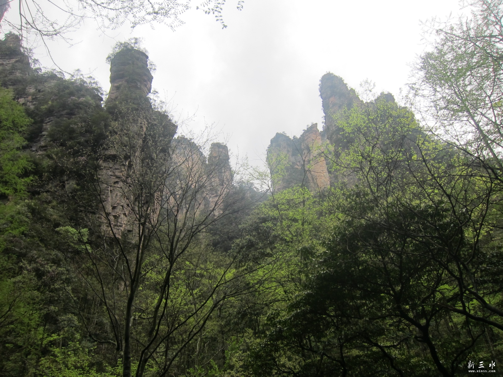 �ڶ�������--���Ϫ (12)--������.JPG