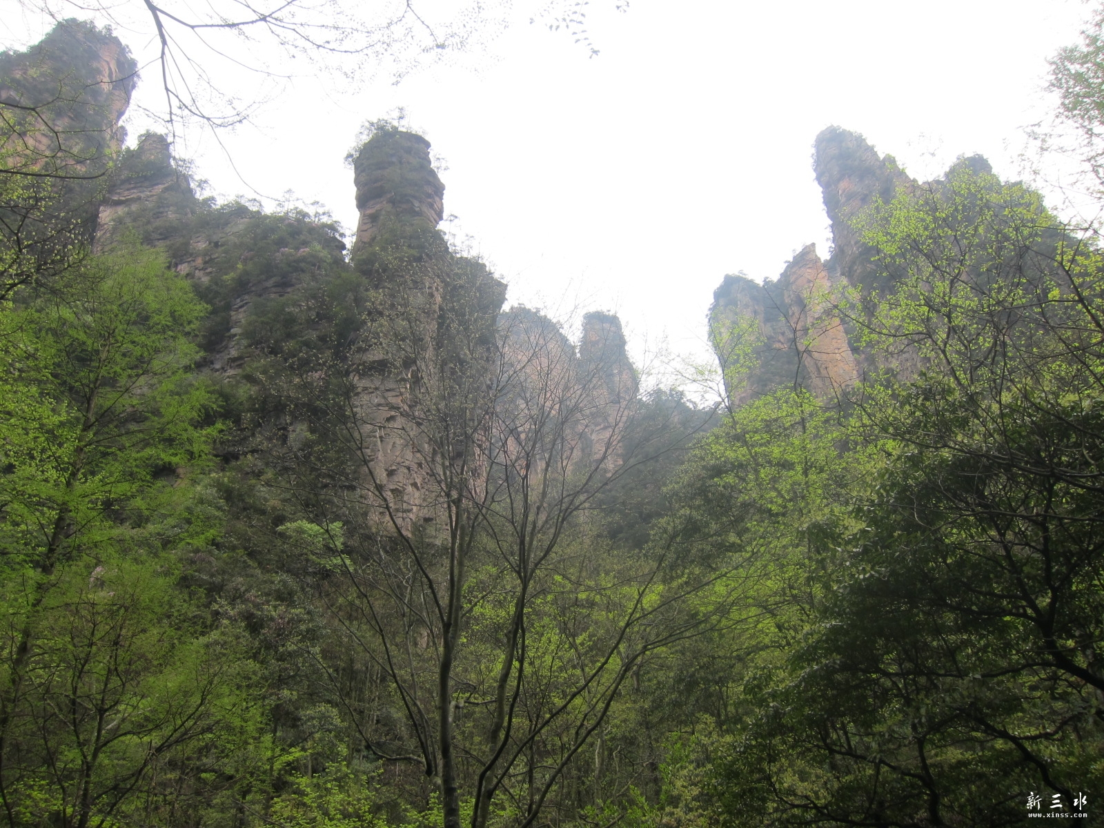 �ڶ�������--���Ϫ (14)--������.JPG