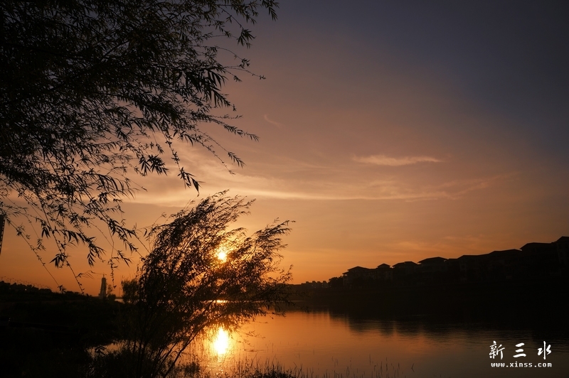 DSC01965.JPG