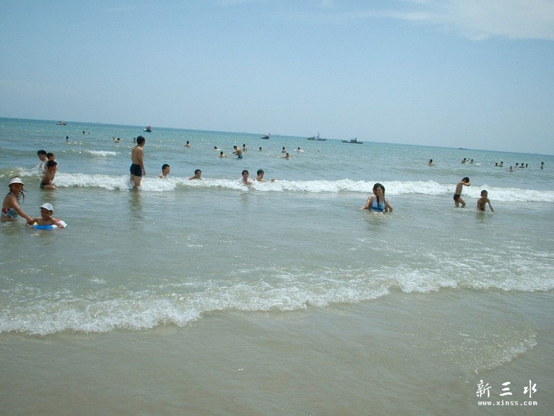 2008050vLmA.jpg