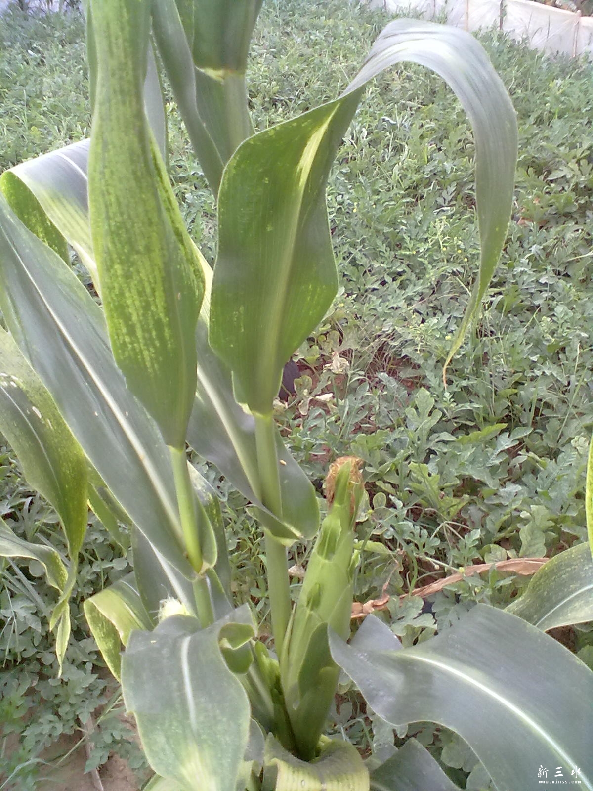20120609100.jpg