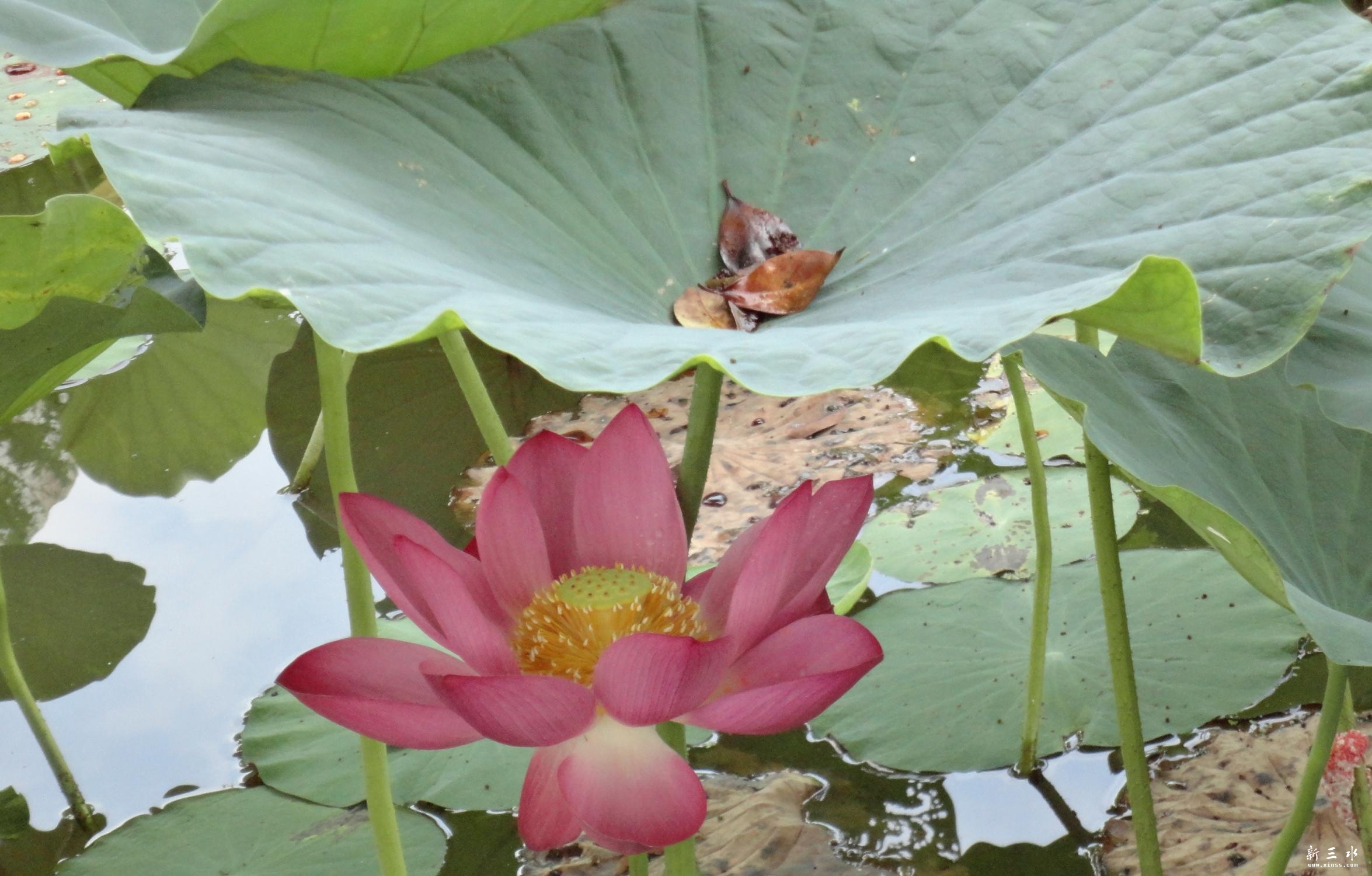 DSC03430.JPG