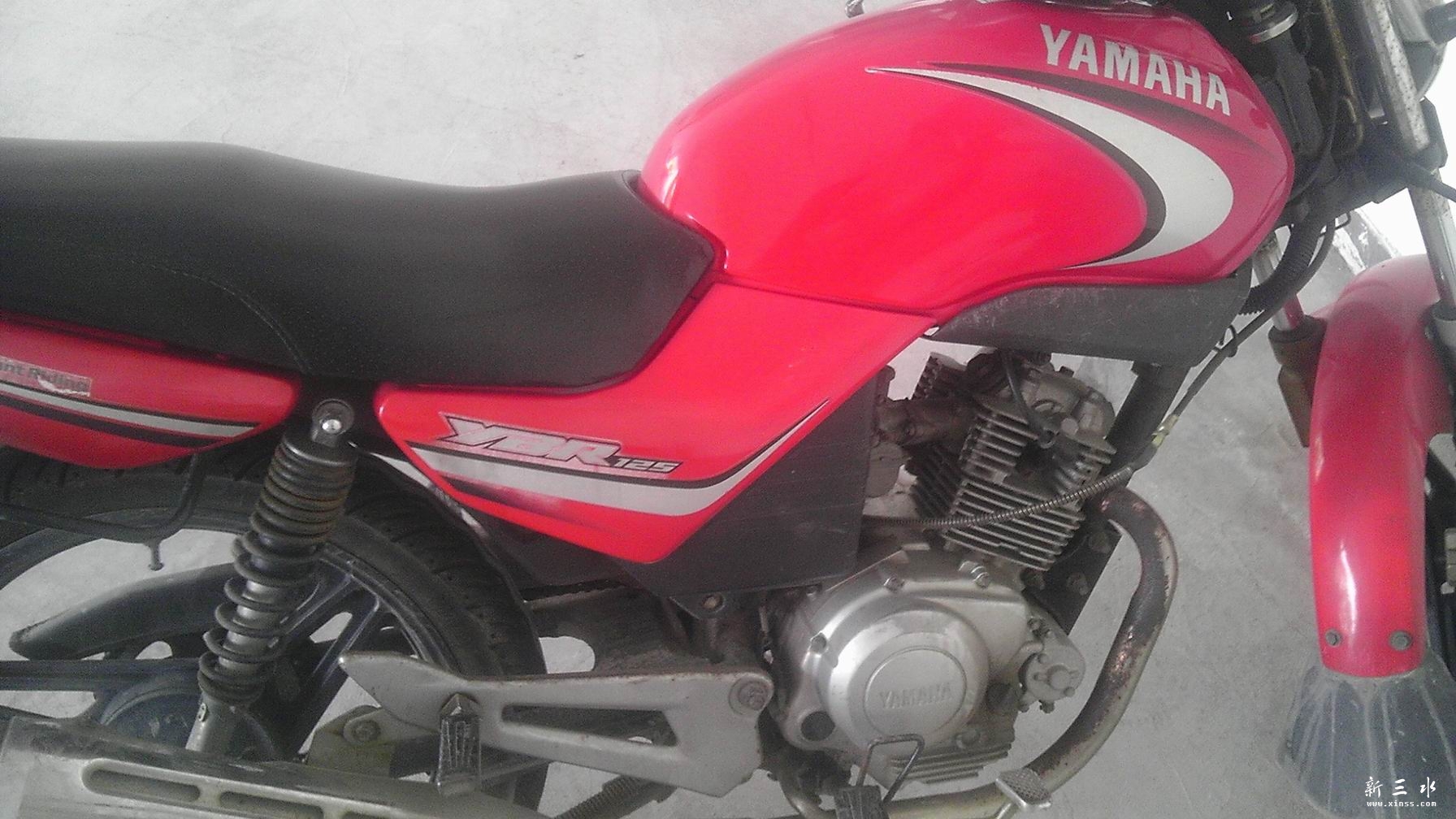 IMAG0065.jpg