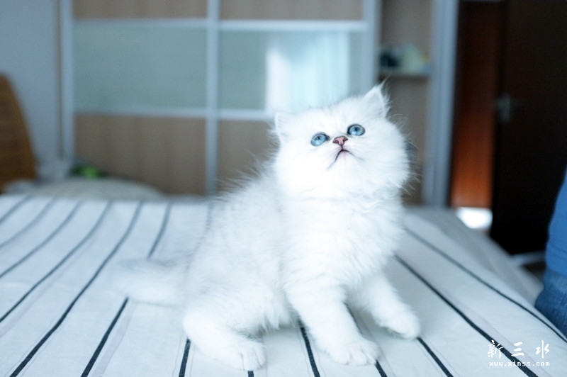DSCF0350_副本.jpg