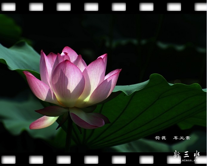 未命名1.jpg