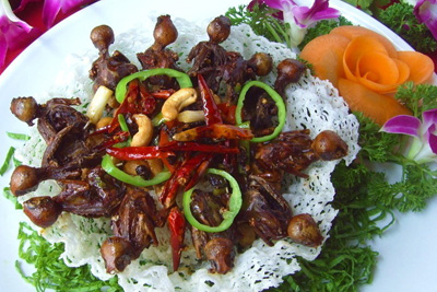 三水禾花雀的美味踪影