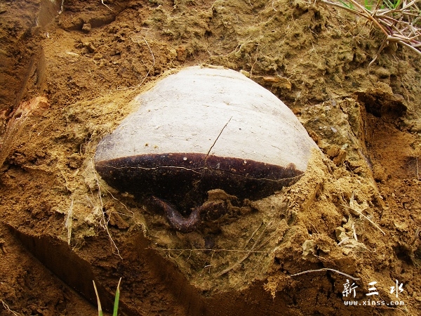 2011-10-06古代陶器1.jpg