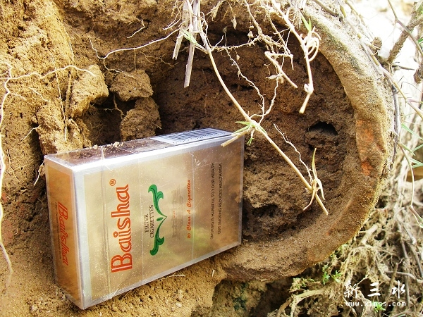 2011-07-06陶排水管3.jpg