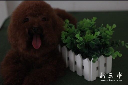 爸爸.jpg