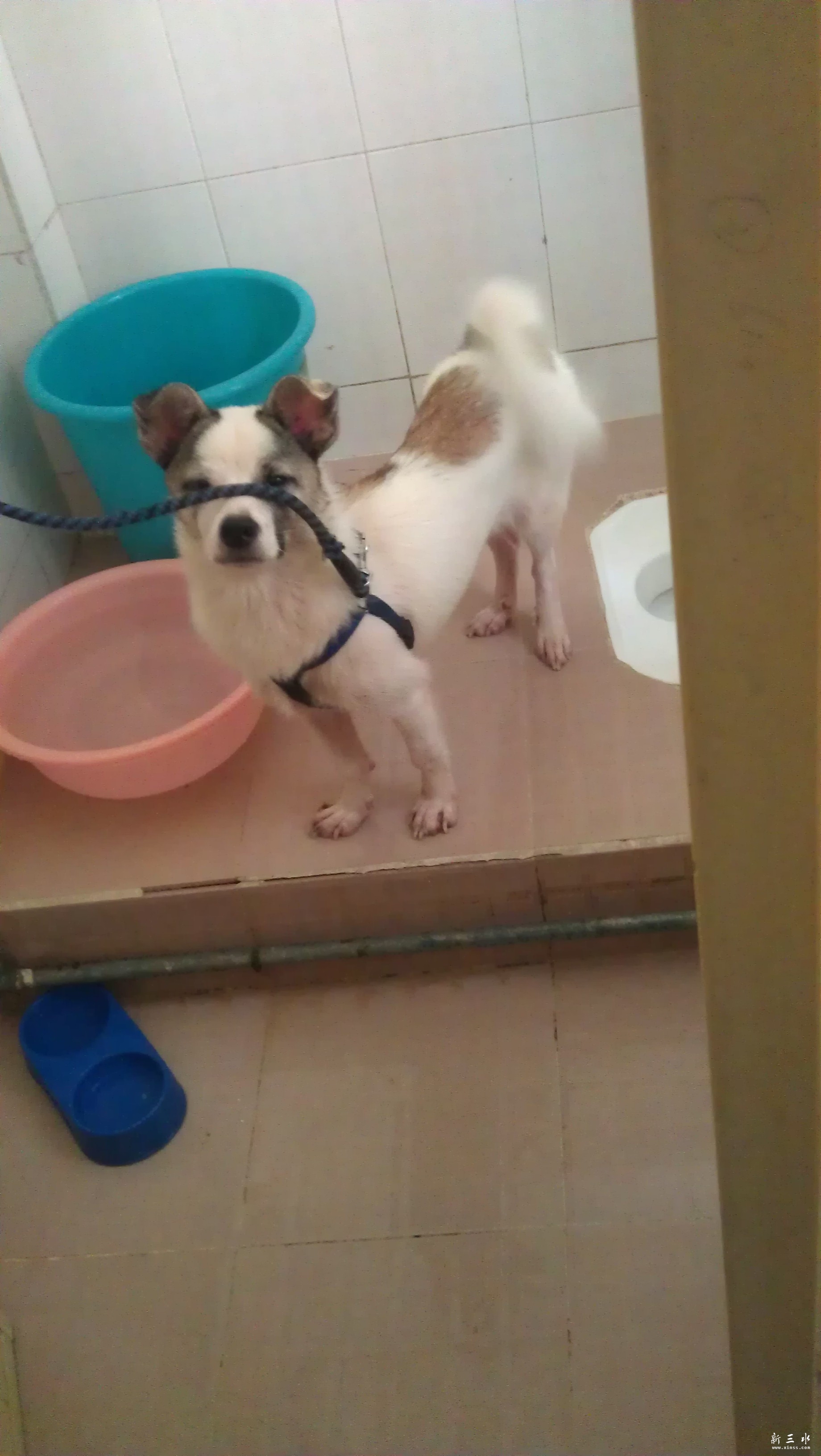IMAG0957.jpg