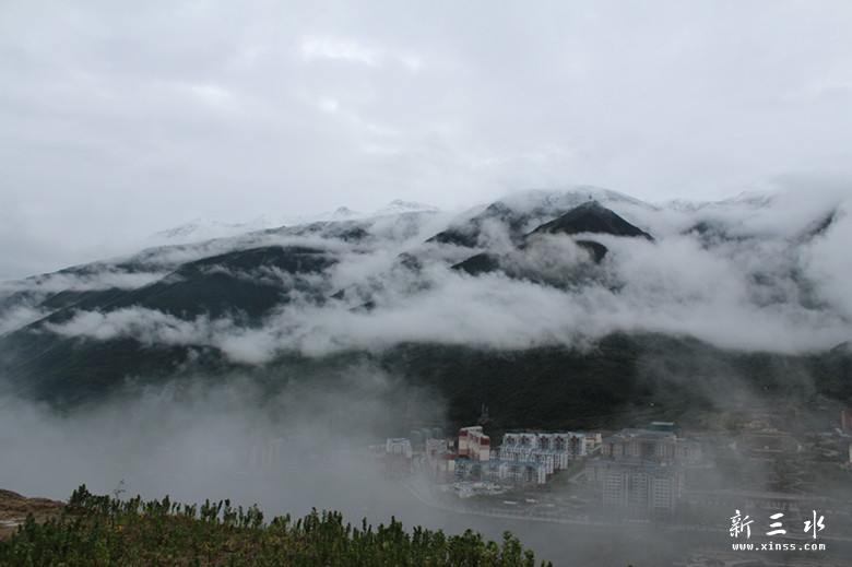 IMG_5507.jpg