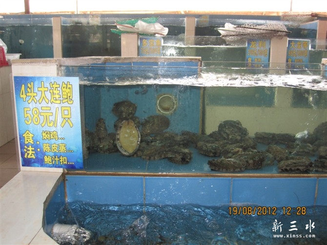 4头大连鲍