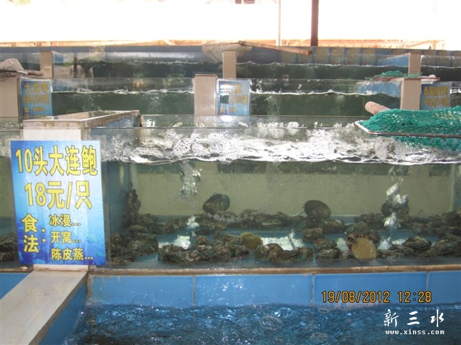 10头大连鲍