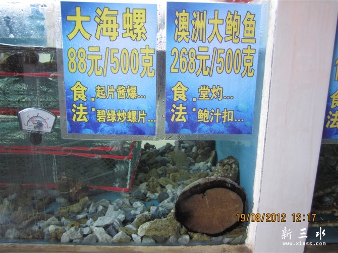 澳洲鲍鱼