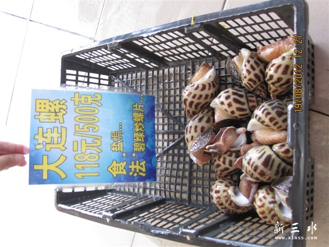 大连螺