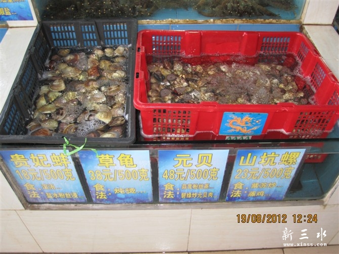 深海海鲜2