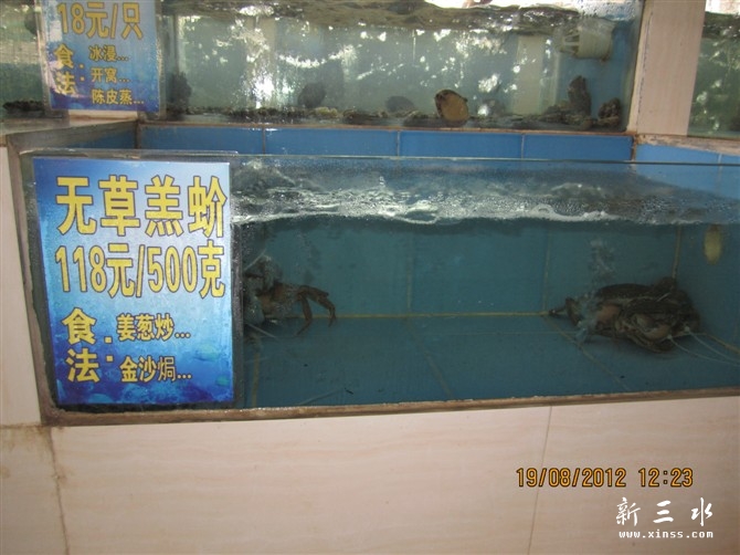 蟹