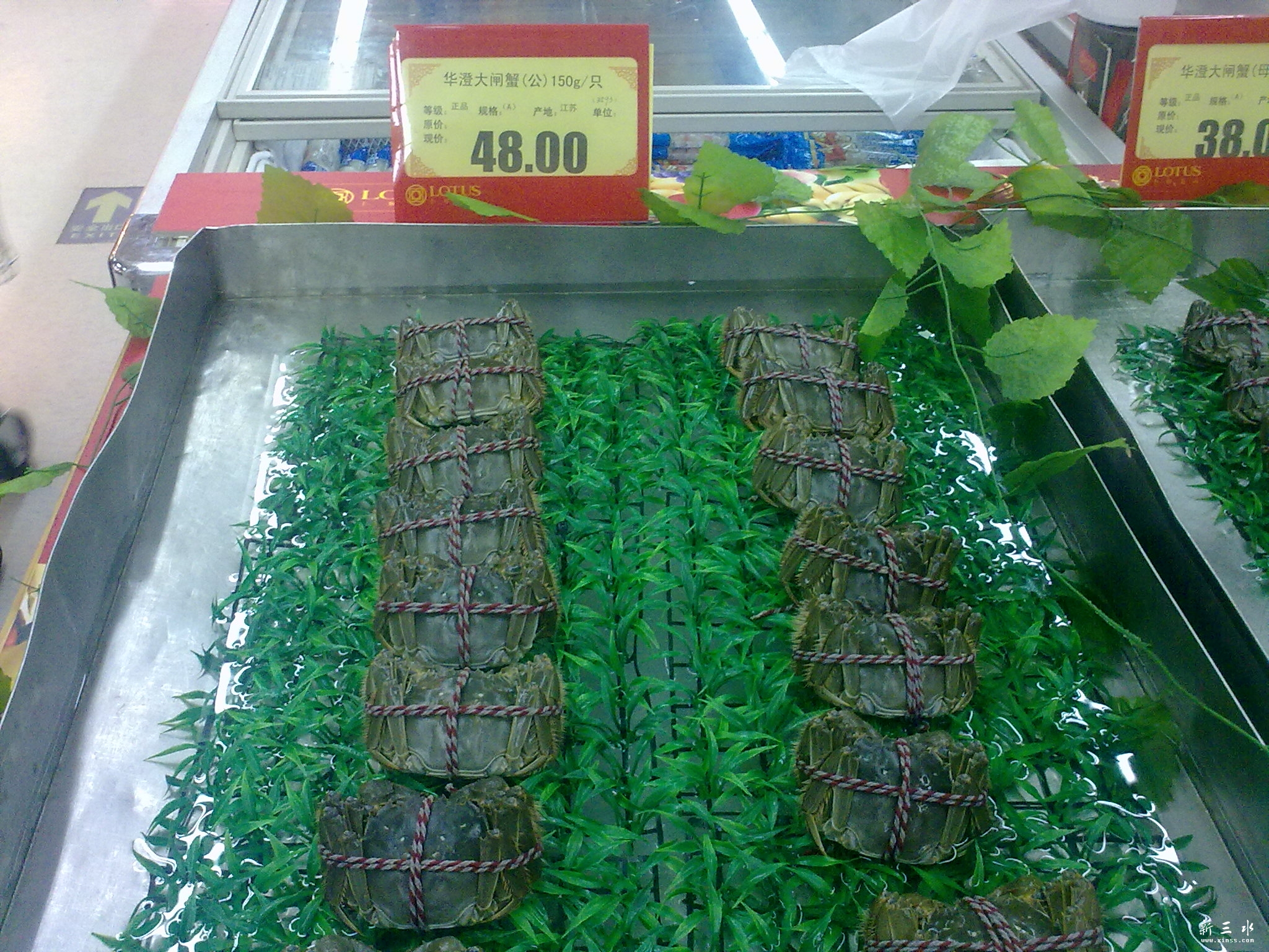 20120917695.jpg