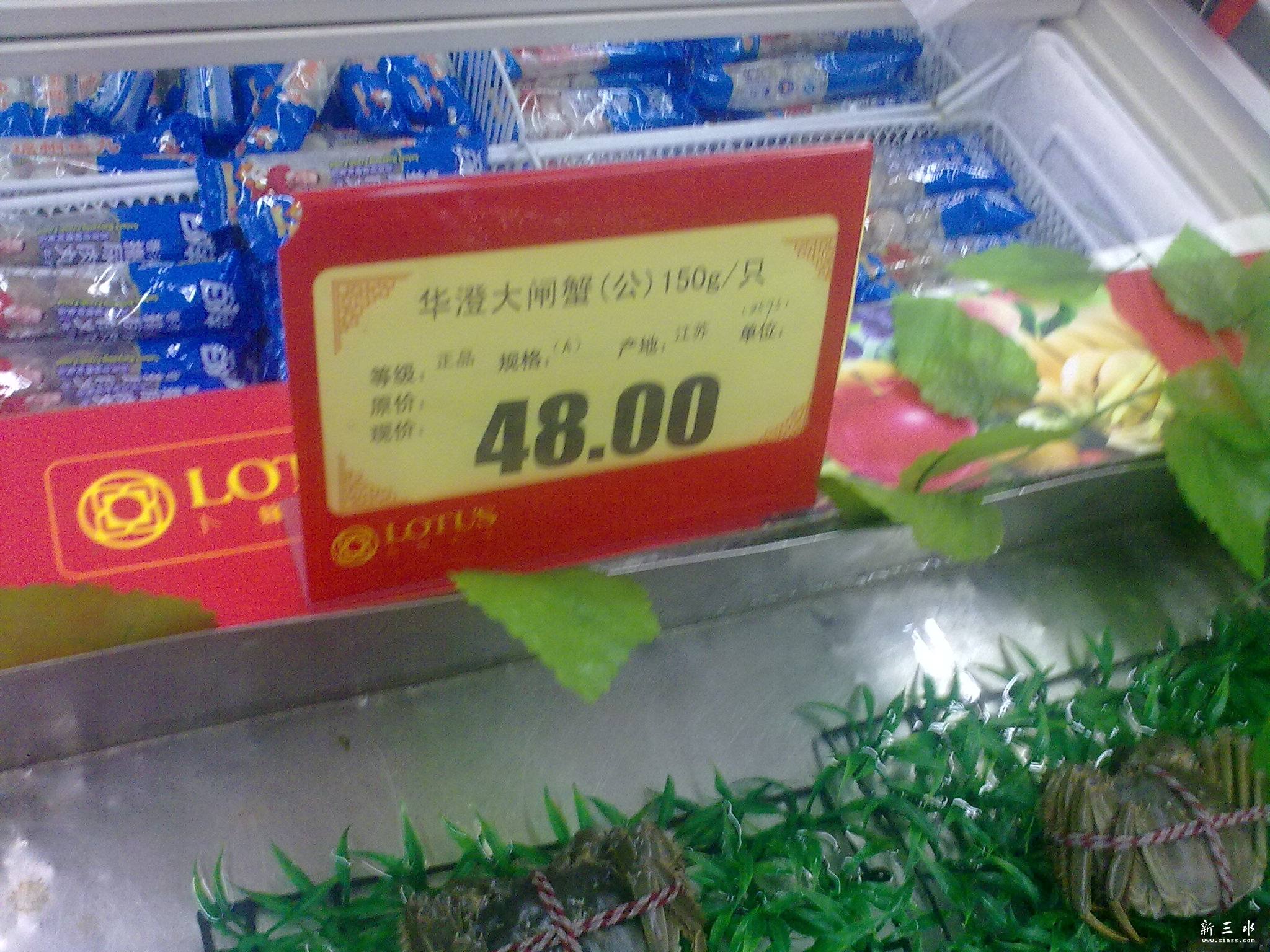 20120917697.jpg
