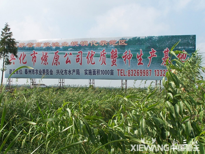 xiewang-huangye5.jpg