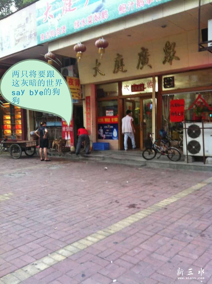 狗狗2_副本.jpg