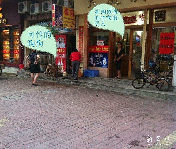 狗狗_副本.jpg