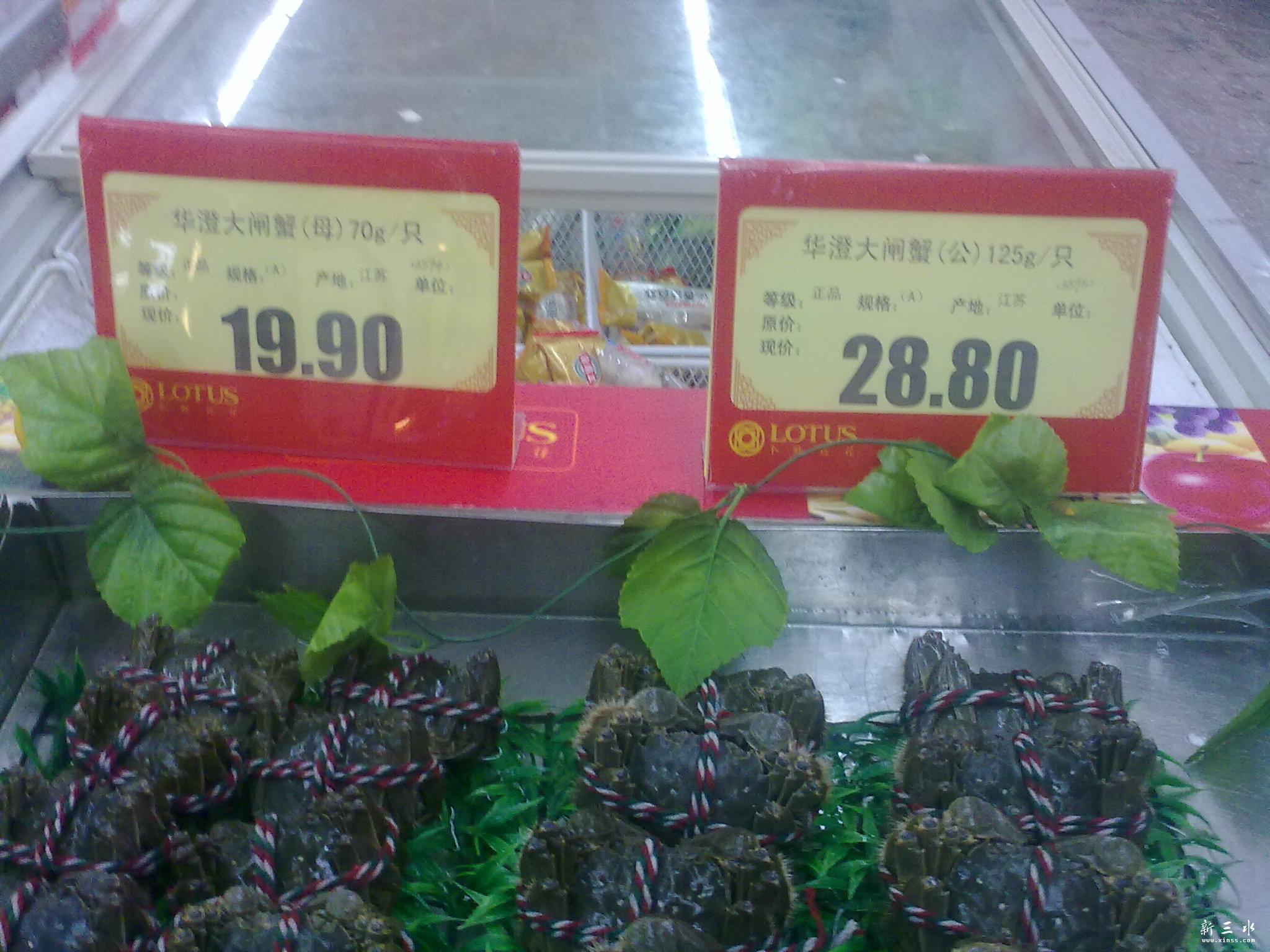 20120917699.jpg