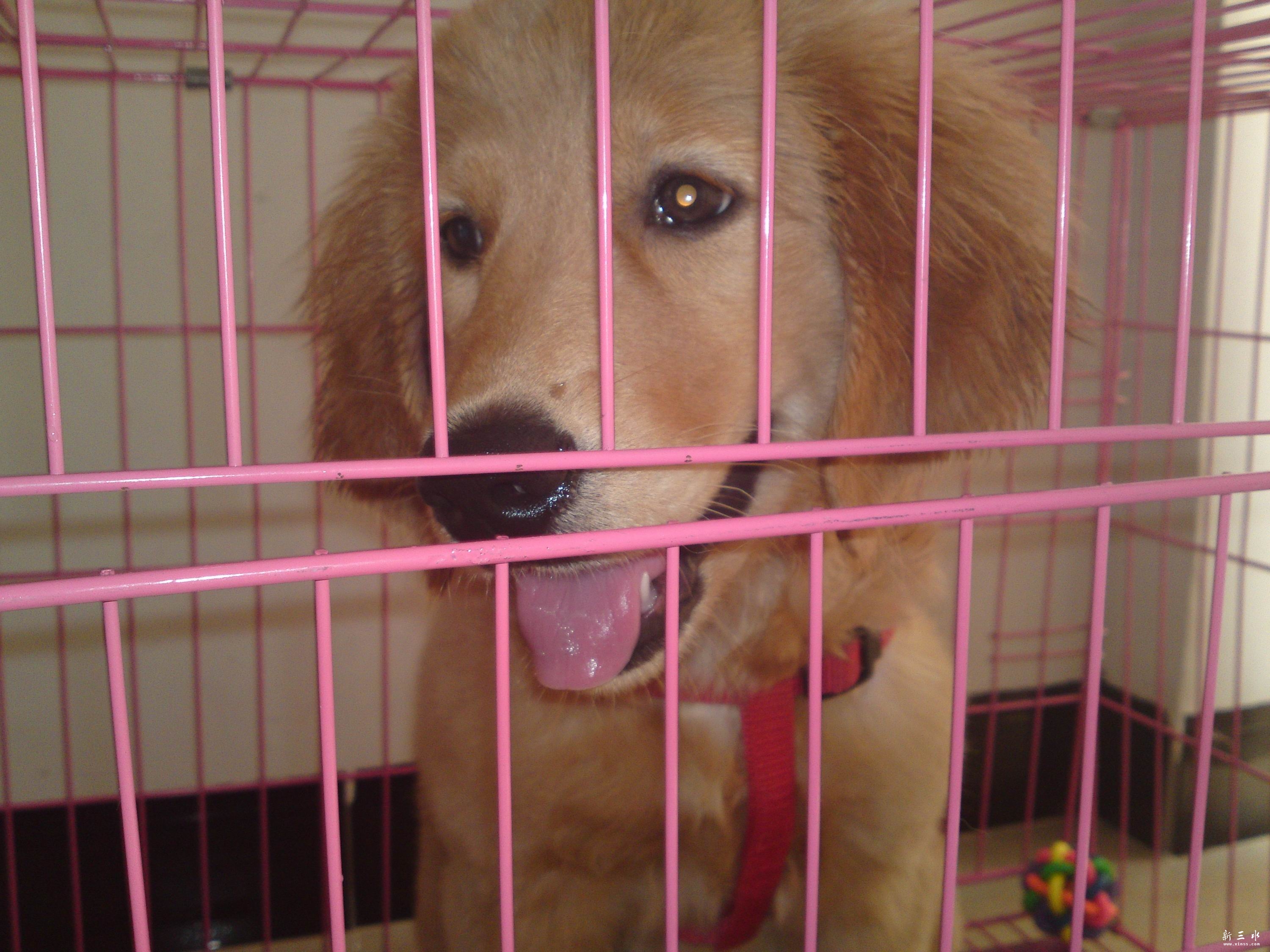 20121031556.jpg2.jpg