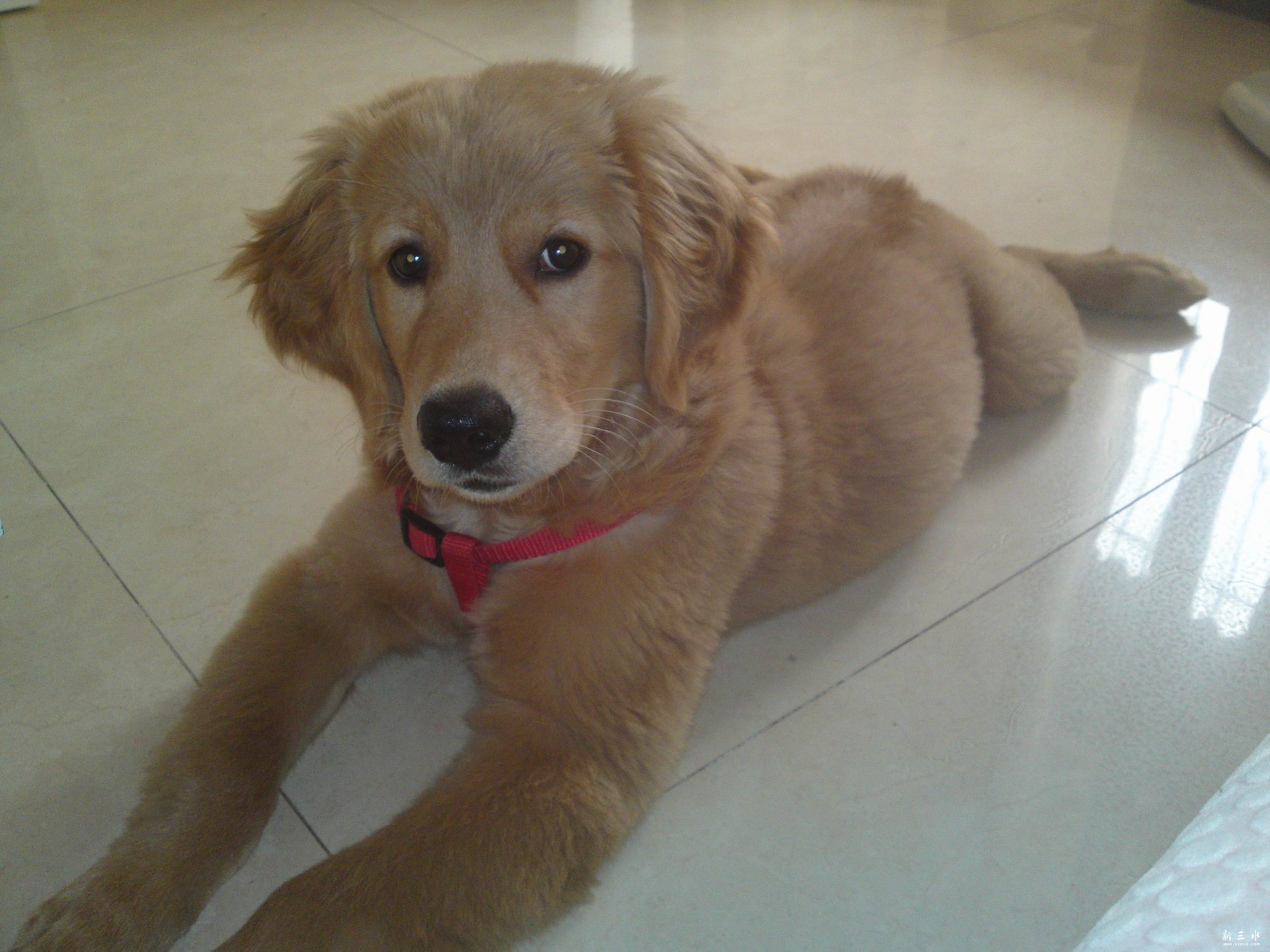 20121023533.jpg