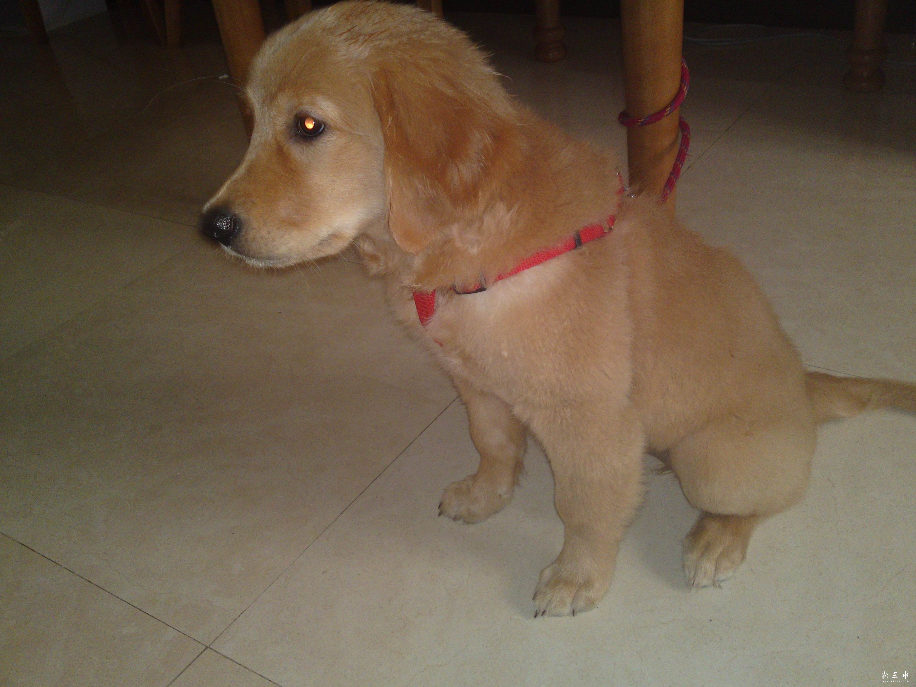 20121026544.jpg
