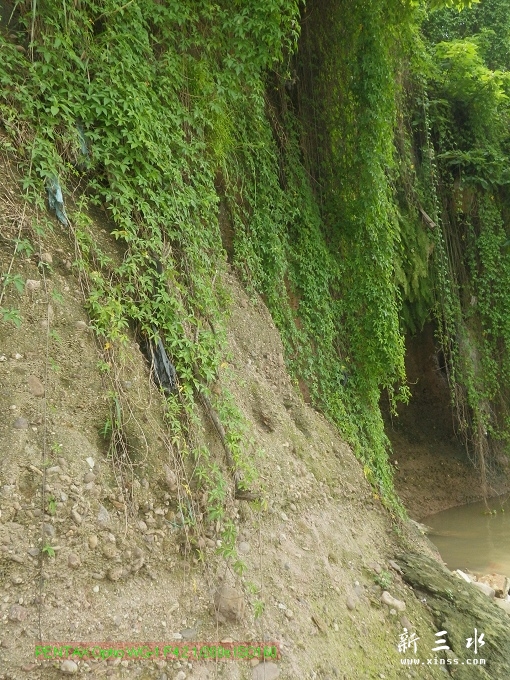 2012-05-20崩岗头02.jpg