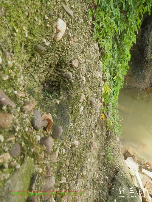 2012-05-20崩岗头03.jpg
