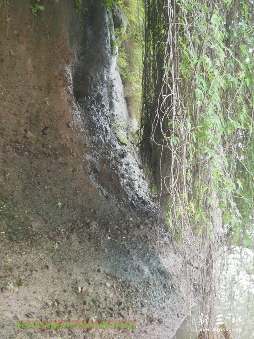 2012-05-20崩岗头04.jpg