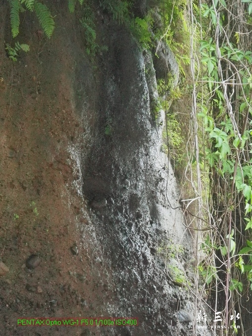 2012-05-20崩岗头05.jpg
