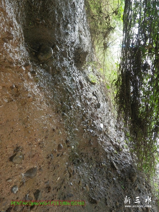 2012-05-20崩岗头06.jpg