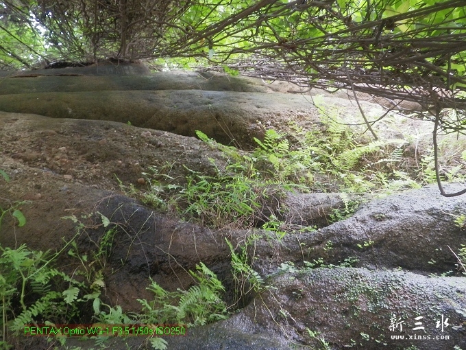 2012-05-20崩岗头07t.jpg