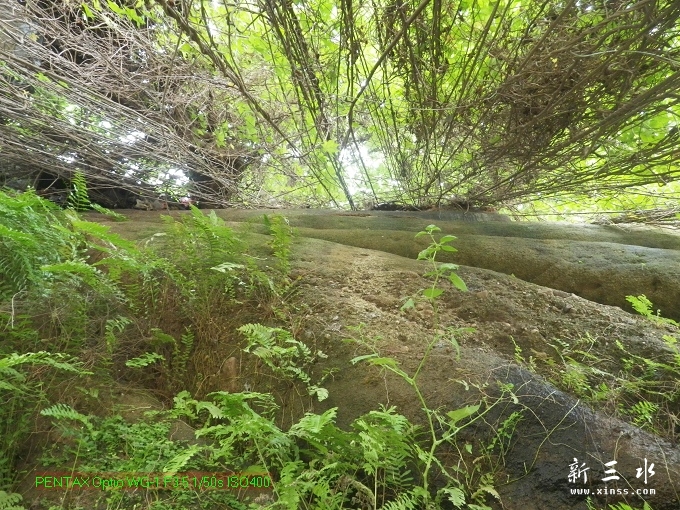 2012-05-20崩岗头08t.jpg