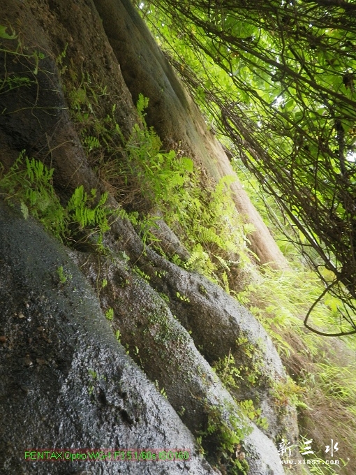 2012-05-20崩岗头09.jpg
