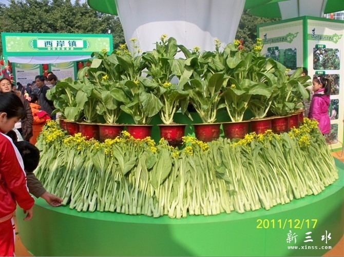 连州菜心节.jpg