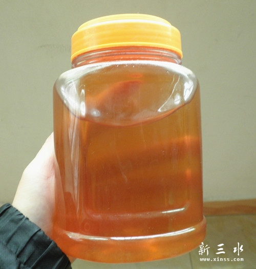 P1040053_副本.jpg
