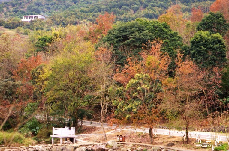 未命名9.jpg