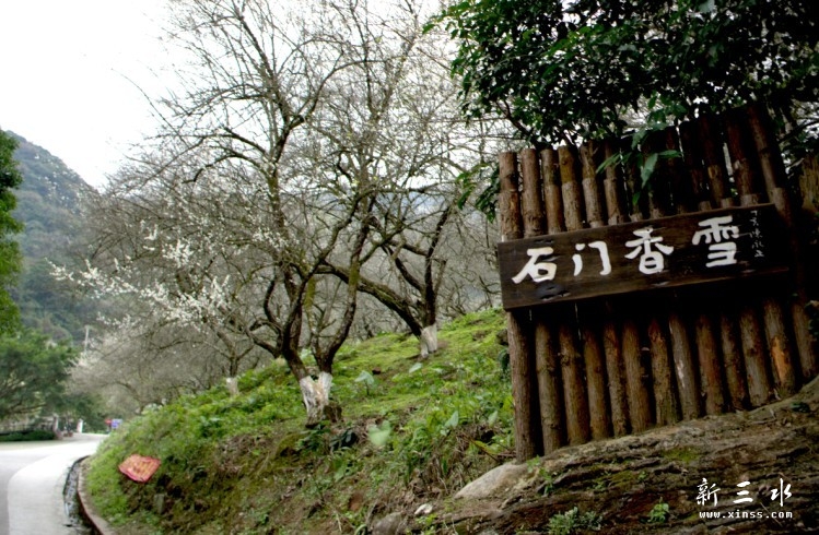 未命名11.jpg