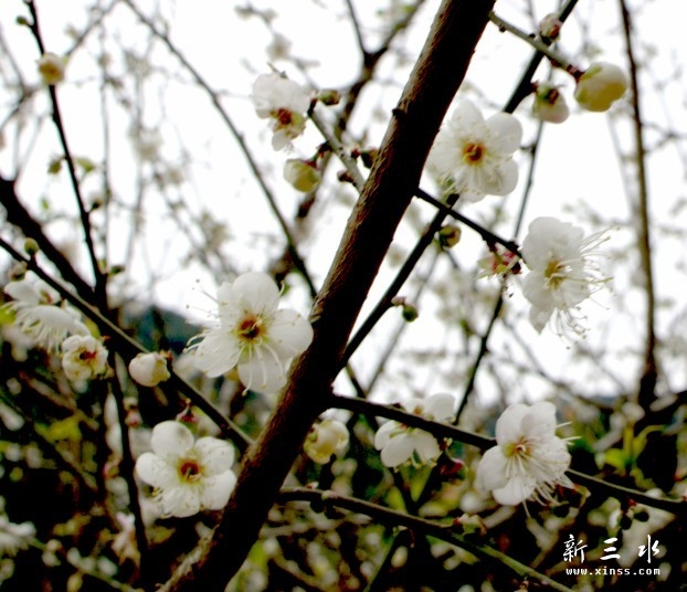 未命名12.jpg