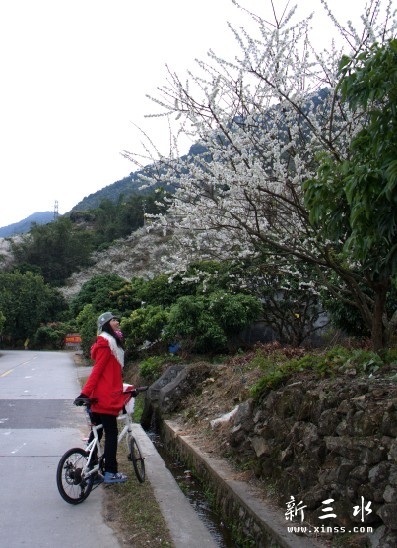 未命名19.jpg