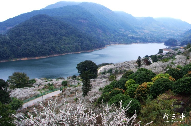 未命名20.jpg