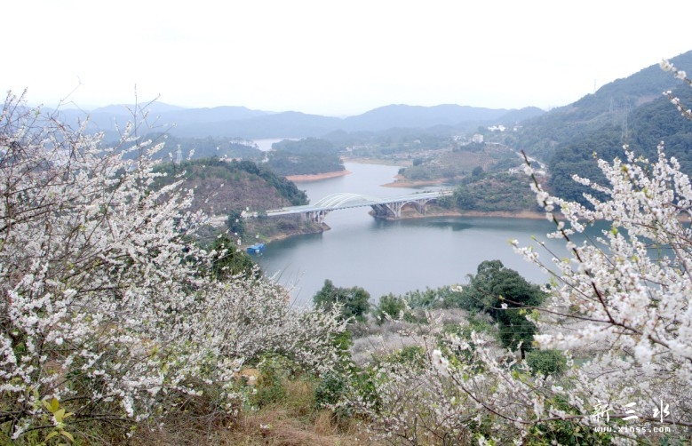 未命名21.jpg