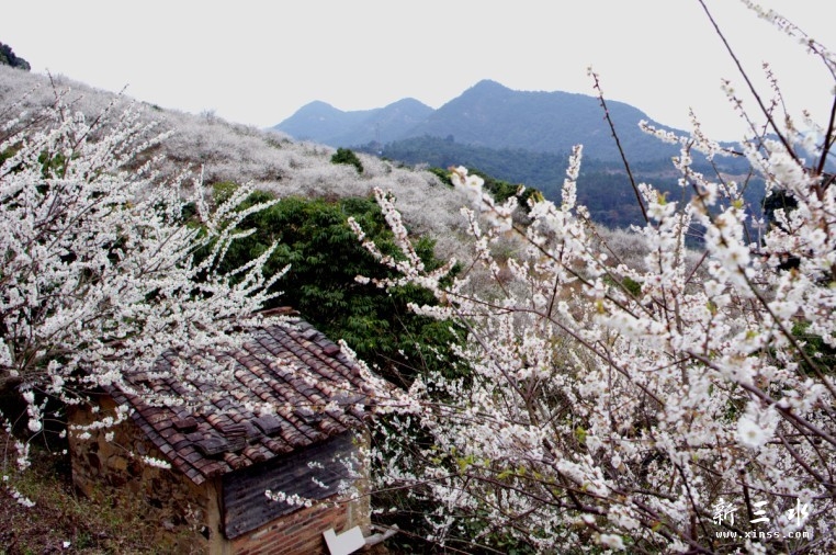 未命名22.jpg